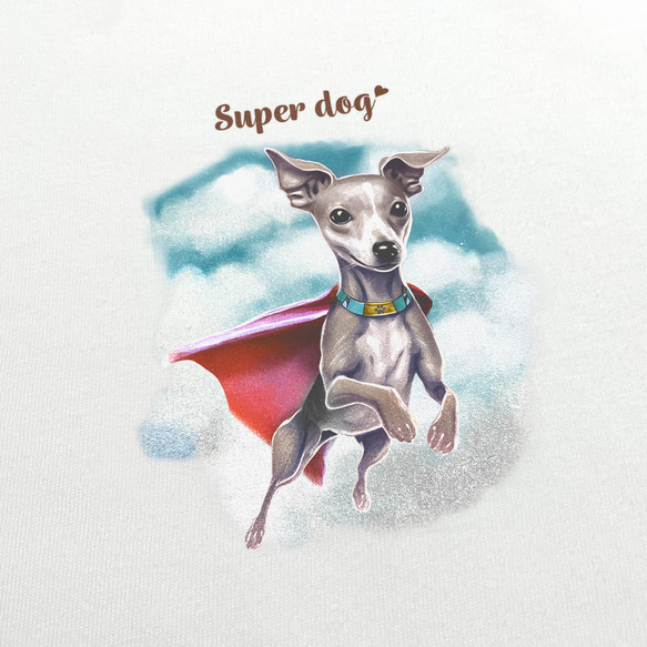 【 ヒーロー イタリアングレーハウンド 】 Tシャツ　おしゃれ　かわいい　犬　ペット　うちの子　プレゼント　ギフト 3枚目の画像