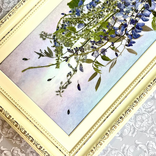 幻想的な藤のパープル＆ブルーモダン押し花アート額04 その他アート