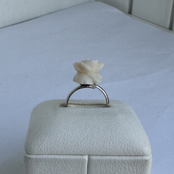 珊瑚彫り指輪　リング　「ホワイトローズ」　フリーサイズ　R50507Y1 9枚目の画像