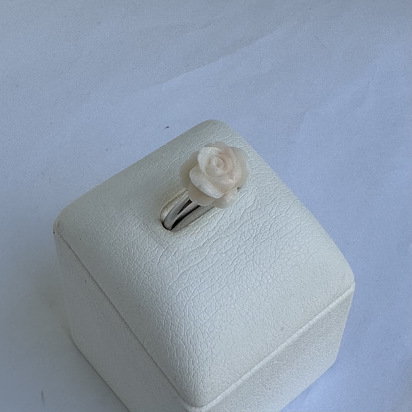 珊瑚彫り指輪　リング　「ホワイトローズ」　フリーサイズ　R50507Y1 11枚目の画像