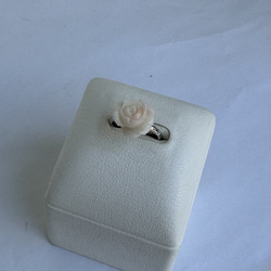 珊瑚彫り指輪　リング　「ホワイトローズ」　フリーサイズ　R50507Y1 12枚目の画像