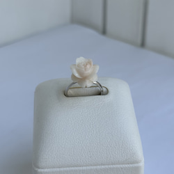 珊瑚彫り指輪　リング　「ホワイトローズ」　フリーサイズ　R50507Y1 7枚目の画像