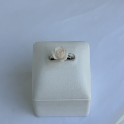 珊瑚彫り指輪　リング　「ホワイトローズ」　フリーサイズ　R50507Y1 6枚目の画像