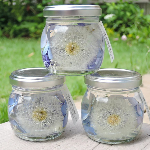 ぼあ 固まるハーバリウム たんぽぽハーバリウム™ 固まるハーバリウム 紫陽花 綿毛 ドライ