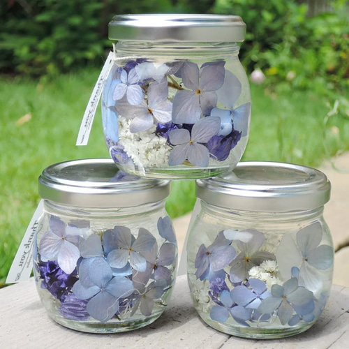 たんぽぽハーバリウム™ 固まるハーバリウム 紫陽花 綿毛 ドライ