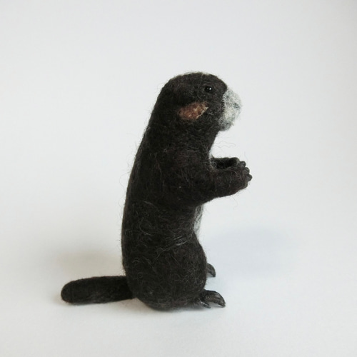 羊毛フェルト バンクーバーマーモット 羊毛フェルト りすすのす 通販