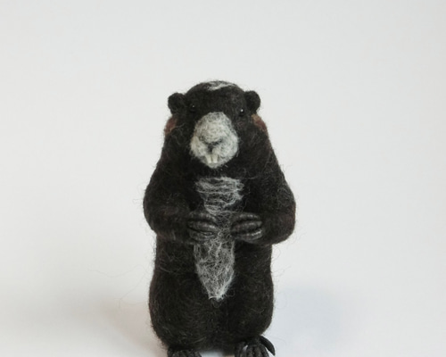 e173dc68ab4e5d1410e02724d114a8