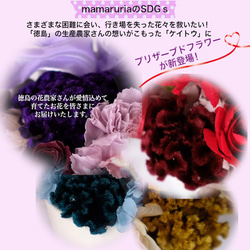 数量限定！特別価格！徳島産プリザーブドフラワー使用　ブループリザミニアレンジ　ラッピング無料 5枚目の画像