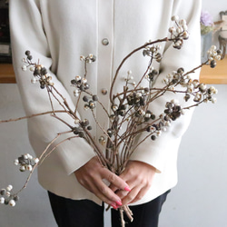 ナンキンハゼ ドライフラワー Deuxieme(ドゥズィエム) 通販 15873016