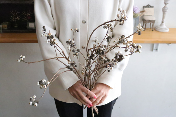 ナンキンハゼ ドライフラワー Deuxieme(ドゥズィエム) 通販 15873016