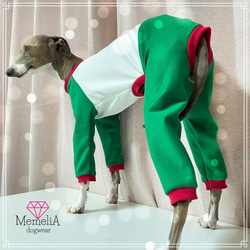 【イタグレ用犬服】合言葉はBuono!?イタリアンカラーのカジュアルおしゃれジャージロンパース 4枚目の画像