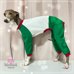 【イタグレ用犬服】合言葉はBuono!?イタリアンカラーのカジュアルおしゃれジャージロンパース 1枚目の画像