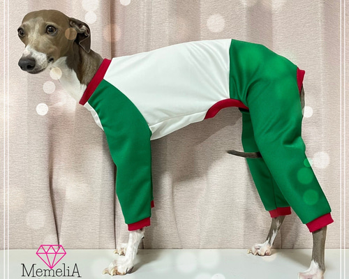 ベロアのロンパース③ イタグレ服　犬服　ハンドメイド 楽天市場】送料無料 イタリアングレーハウンド 服 イタグレ