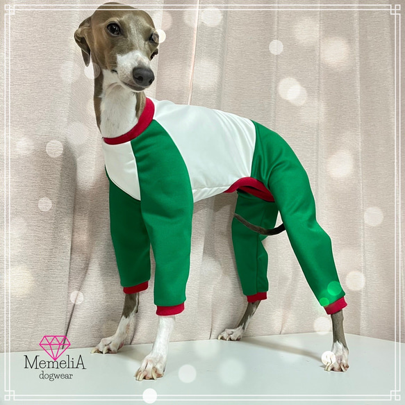 【イタグレ用犬服】合言葉はBuono!?イタリアンカラーのカジュアルおしゃれジャージロンパース 3枚目の画像