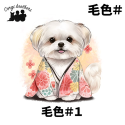 【 晴れ着姿の マルチーズ 】 Tシャツ　おしゃれ　かわいい　犬　ペット　うちの子　プレゼント　ギフト 5枚目の画像