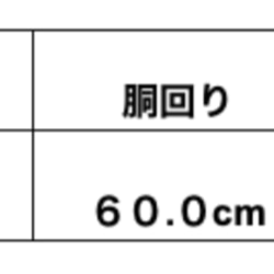 【イタグレ用犬服】ワッフル✖️チェックが素敵にマッチ⭐︎おしゃれに決まるワッフルワンピース 8枚目の画像