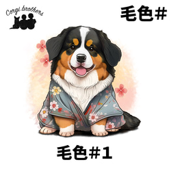 【 晴れ着姿の バーニーズマウンテン 】 Tシャツ　おしゃれ　かわいい　犬　ペット　うちの子　プレゼント　ギフト 5枚目の画像