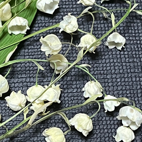 すずらんのドライフラワー その他素材 キリ 通販 15874046｜Creema