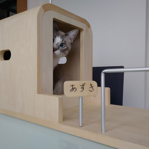 キャットウォーク、手すり付き、ねこさんハウス ハウス・小屋 masa 