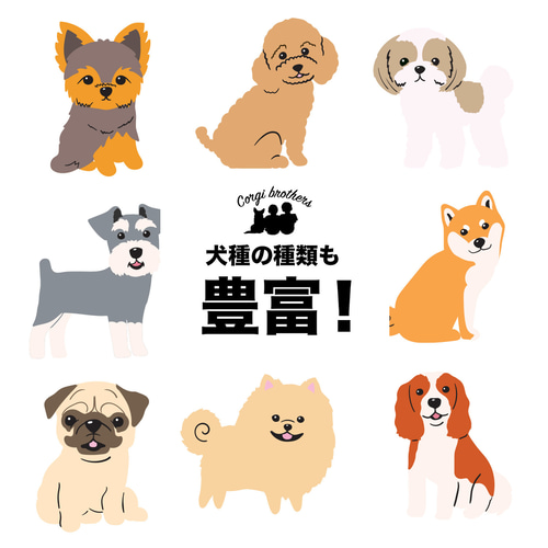 柴犬 シンプル柄 毛色3色 】 Tシャツ おしゃれ かわいい 犬