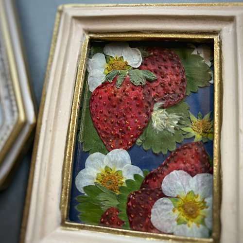 いちごの押し花額 ドライフラワー フラワーアンブリッジローズ 通販  