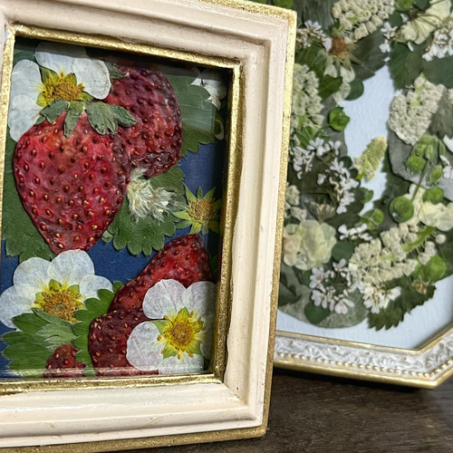 いちごの押し花額 ドライフラワー フラワーアンブリッジローズ 通販  