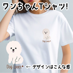 【 ビションフリーゼ  シンプル柄 毛色１色 】 Tシャツ　おしゃれ　かわいい　犬　ペット　うちの子　プレゼント 1枚目の画像
