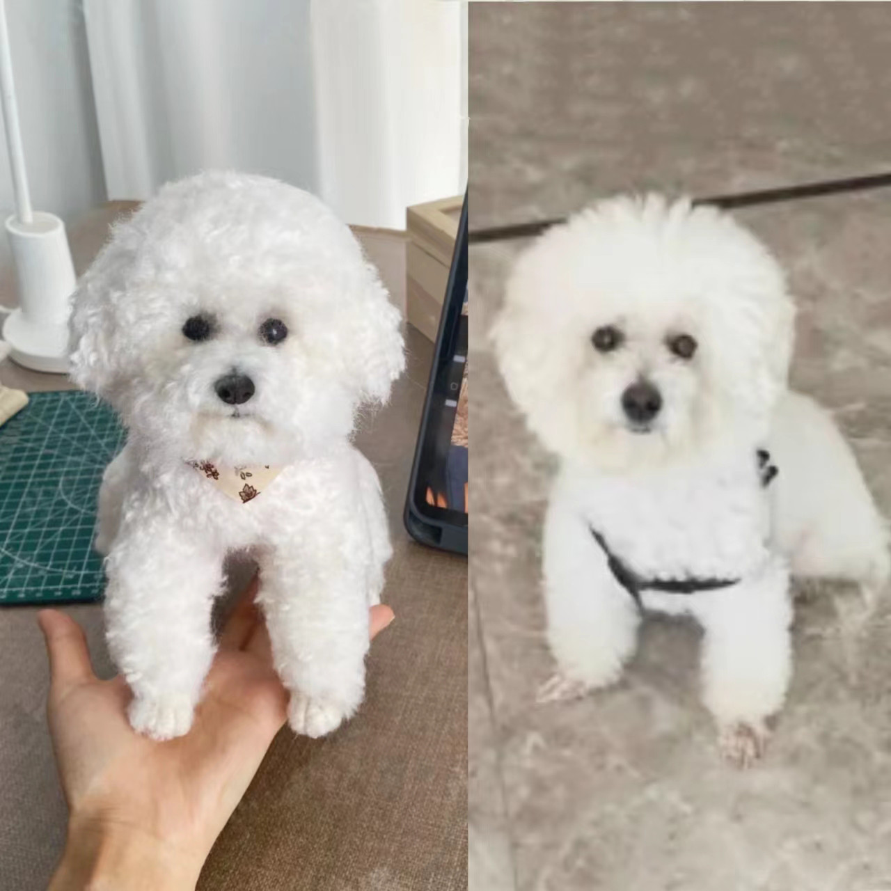 【オーダーメイド ペット】犬  ぬいぐるみ リアル 羊毛 フェルトビーグル犬匹 うちの子、ペット似顔絵、犬 猫 人形