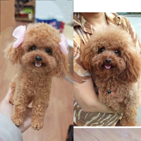 【オーダーメイドペット】羊毛フェルト、うちの子　犬ぬいぐるみ、フェルト犬、羊毛犬、肖像画、犬猫人形 プレゼントやギフトに 100% 模様