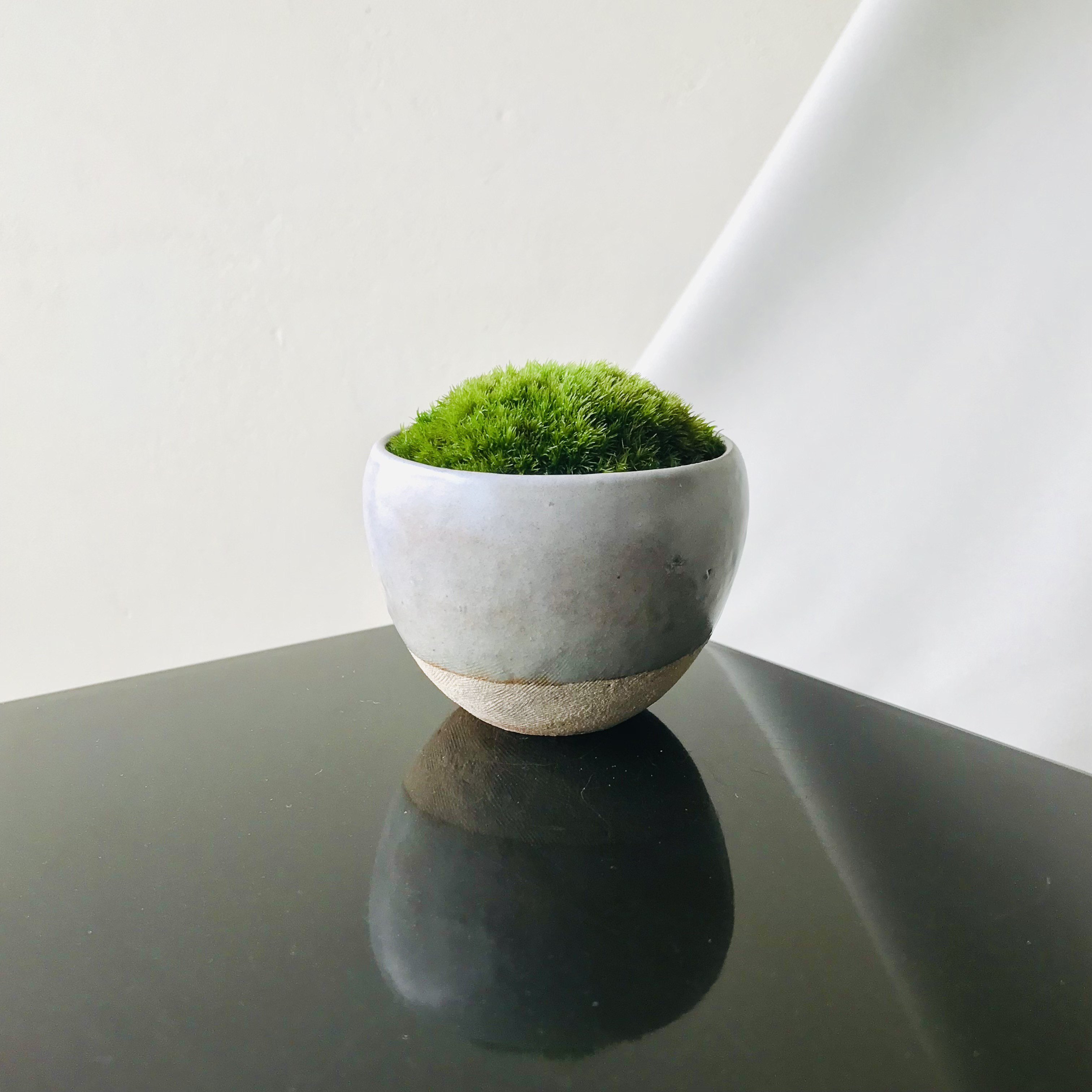 苔鉢 ＜姿が美しい こけ鉢 豆盆栽＞ 荒土 径⒎6㎝ 一輪挿し