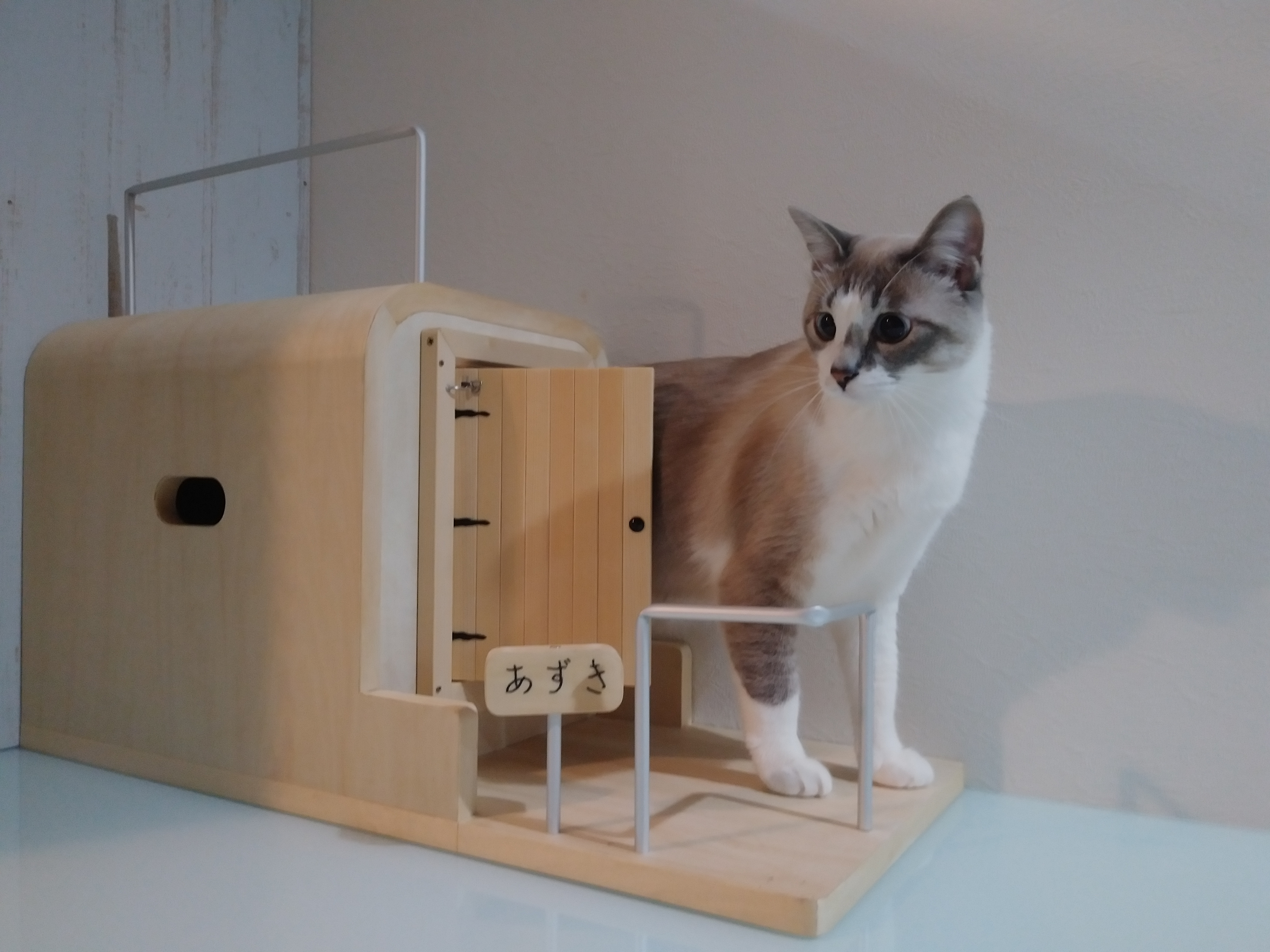 ご予約品 キャットウォーク、手すり付き、ねこさんハウス扉付き ハウス