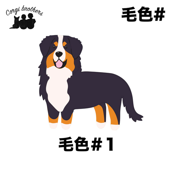 【 バーニーズマウンテン シンプル柄 毛色１色 】  Tシャツ　おしゃれ　かわいい　犬　ペット　うちの子　プレゼント 6枚目の画像