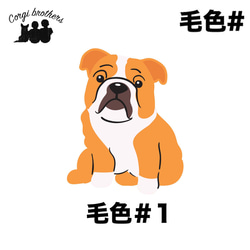 【 ブルドッグ シンプル柄 毛色1色 】  Tシャツ　おしゃれ　かわいい　犬　ペット　うちの子　プレゼント 6枚目の画像