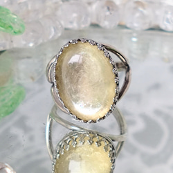 SV925 富の象徴・・スパイニーオイスターシェルring（9～23号