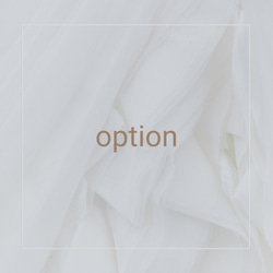 option 1枚目の画像