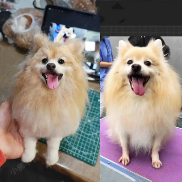 【オーダーメイドペット】羊毛フェルト、うちの子　犬ぬいぐるみ、フェルト犬、羊毛犬、肖像画、犬猫人形 プレゼントやギフトに 100% 模様