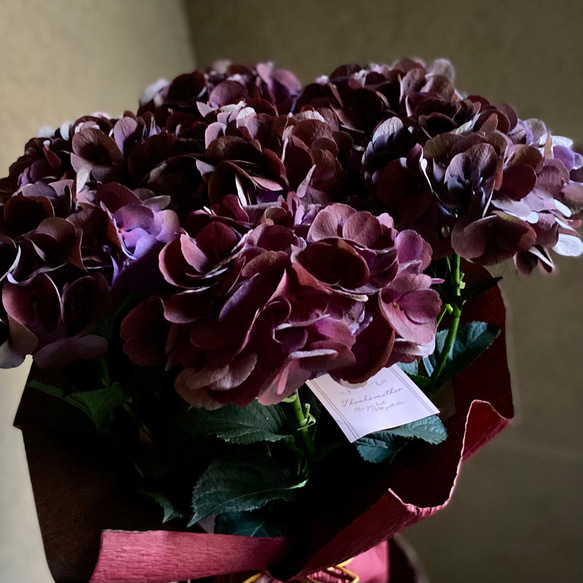 母の日ギフト アジサイ クイーンズブラック 秋色紫陽花 3枚目の画像