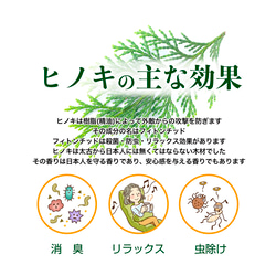  第7張的照片