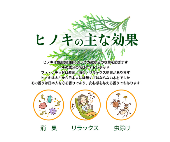 第7張的照片