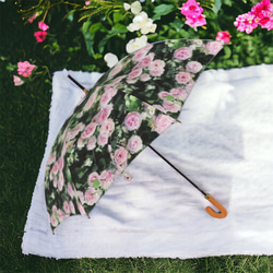 【受注生産】ガーデンに咲くピェ―ル・ドゥ・ロンサール雨傘１　（イギリス製）梅雨対策2023 5枚目の画像