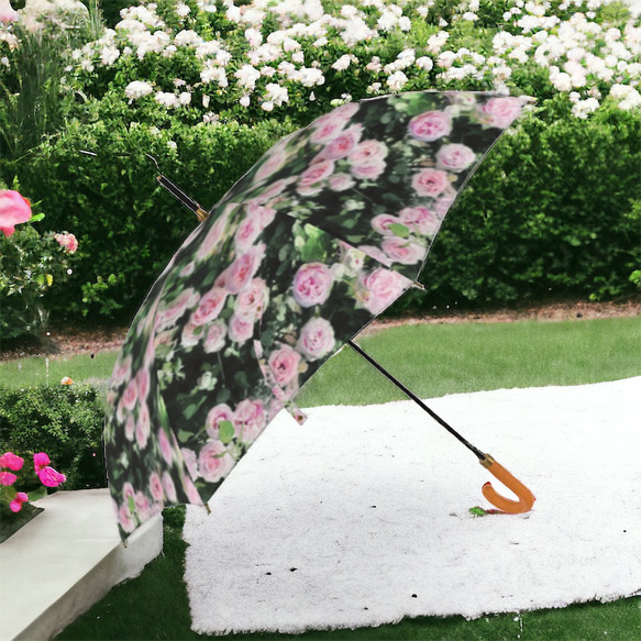 【受注生産】ガーデンに咲くピェ―ル・ドゥ・ロンサール雨傘１　（イギリス製）梅雨対策2023 6枚目の画像