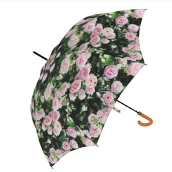 【受注生産】ガーデンに咲くピェ―ル・ドゥ・ロンサール雨傘１　（イギリス製）梅雨対策2023 7枚目の画像