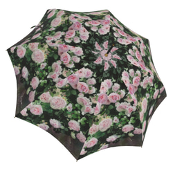 【受注生産】ガーデンに咲くピェ―ル・ドゥ・ロンサール雨傘２　（イギリス製）梅雨対策2023 7枚目の画像