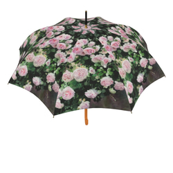 【受注生産】ガーデンに咲くピェ―ル・ドゥ・ロンサール雨傘２　（イギリス製）梅雨対策2023 5枚目の画像