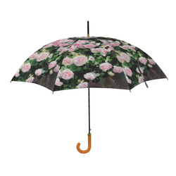 【受注生産】ガーデンに咲くピェ―ル・ドゥ・ロンサール雨傘２　（イギリス製）梅雨対策2023 4枚目の画像