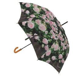 【受注生産】ガーデンに咲くピェ―ル・ドゥ・ロンサール雨傘２　（イギリス製）梅雨対策2023 1枚目の画像
