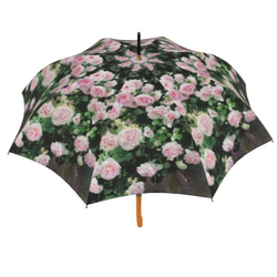 【受注生産】ガーデンに咲くピェ―ル・ドゥ・ロンサール雨傘２　（イギリス製）梅雨対策2023 6枚目の画像