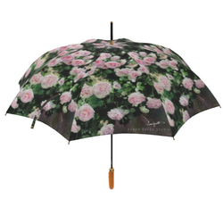 【受注生産】ガーデンに咲くピェ―ル・ドゥ・ロンサール雨傘２　（イギリス製）梅雨対策2023 2枚目の画像