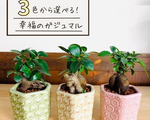クリエイティブユニットTENT×大阪の町工場による、鉢と受け皿が
