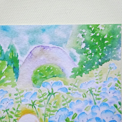 ✻ ネモフィラ　くじゅう花公園 / ポストカード / no.121 5枚目の画像